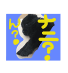 i am kai..（個別スタンプ：2）