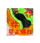 i am kai..（個別スタンプ：3）