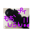 i am kai..（個別スタンプ：5）