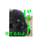 i am kai..（個別スタンプ：7）