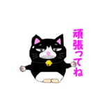 足元にいるタキシード猫（個別スタンプ：13）