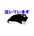 足元にいるタキシード猫（個別スタンプ：21）