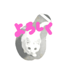 cat meets world（個別スタンプ：6）