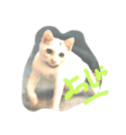 cat meets world（個別スタンプ：13）