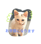 cat meets world（個別スタンプ：14）