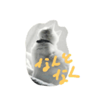 cat meets world（個別スタンプ：16）