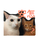 The grandpa and mei mei（個別スタンプ：12）