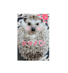 TIKUTIKU（個別スタンプ：1）