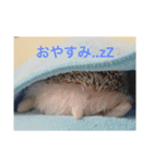 TIKUTIKU（個別スタンプ：2）
