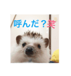 TIKUTIKU（個別スタンプ：3）