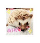TIKUTIKU（個別スタンプ：5）