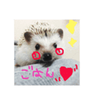 TIKUTIKU（個別スタンプ：6）