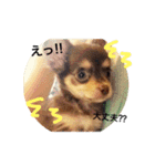 りんるんれん（個別スタンプ：2）