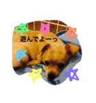 りんるんれん（個別スタンプ：4）