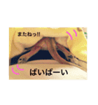りんるんれん（個別スタンプ：7）