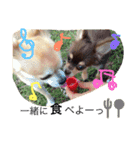 りんるんれん（個別スタンプ：8）