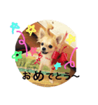 りんるんれん（個別スタンプ：9）