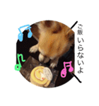 りんるんれん（個別スタンプ：19）