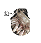pigtime（個別スタンプ：7）