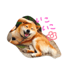 choosuke（個別スタンプ：2）