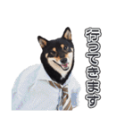 黒柴犬黒豆の日常（個別スタンプ：9）