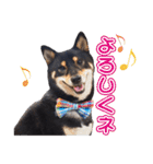 黒柴犬黒豆の日常（個別スタンプ：14）