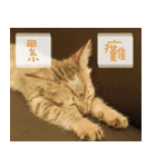 Pico's Cat（個別スタンプ：7）