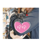 Pico's Cat（個別スタンプ：10）