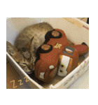 Pico's Cat（個別スタンプ：12）