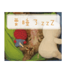 Pico's Cat（個別スタンプ：13）