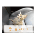 Pico's Cat（個別スタンプ：24）