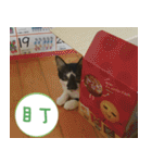 Pico's Cat（個別スタンプ：39）