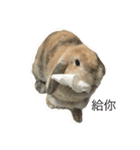 O______O（個別スタンプ：1）