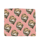 O______O（個別スタンプ：2）