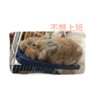 O______O（個別スタンプ：5）