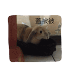 O______O（個別スタンプ：8）