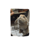 O______O（個別スタンプ：9）