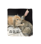 O______O（個別スタンプ：13）