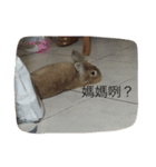 O______O（個別スタンプ：14）