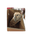 O______O（個別スタンプ：16）