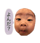 のぞみーぬ0〜3ヶ月（個別スタンプ：24）