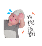 Enzo baby（個別スタンプ：3）