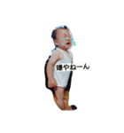 Shinchannokao6（個別スタンプ：6）
