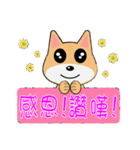 Shiba lnu-Tairu（個別スタンプ：11）