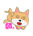 Shiba lnu-Tairu（個別スタンプ：15）