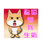 Shiba lnu-Tairu（個別スタンプ：20）