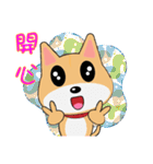 Shiba lnu-Tairu（個別スタンプ：23）