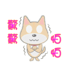 Shiba lnu-Tairu（個別スタンプ：26）