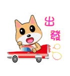 Shiba lnu-Tairu（個別スタンプ：33）