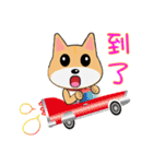 Shiba lnu-Tairu（個別スタンプ：36）